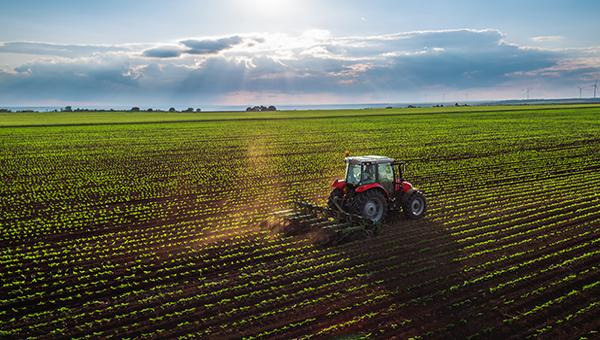 Tractor in Fields