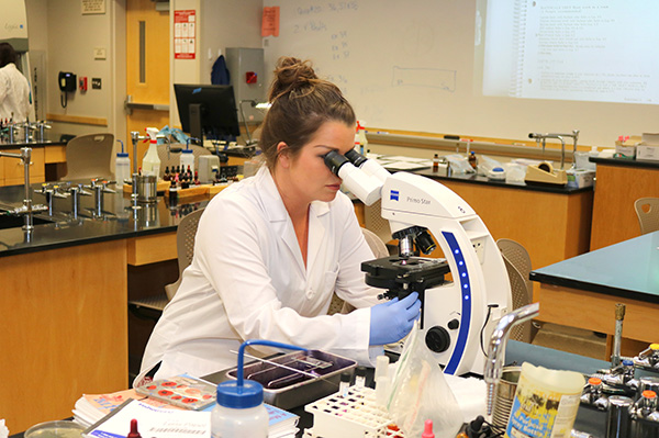 Biology student using microscope