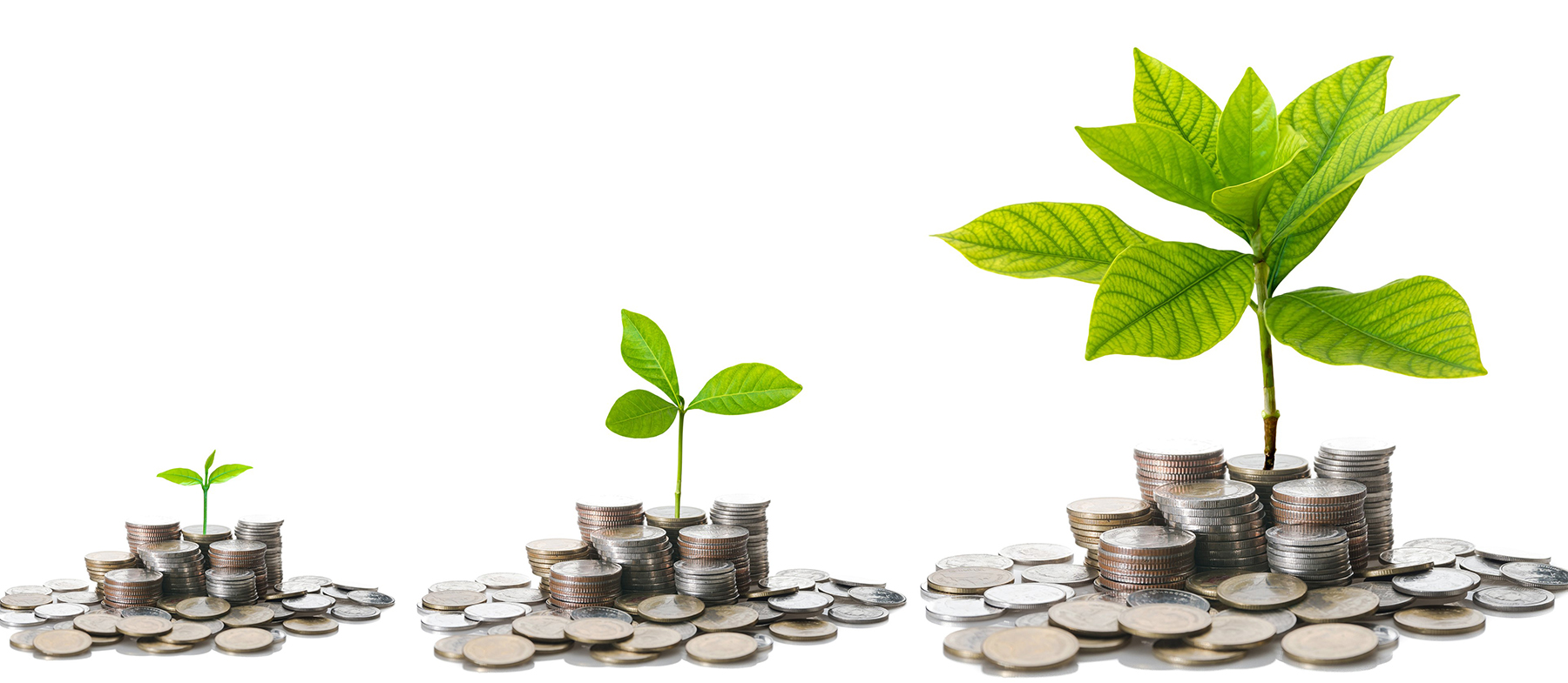 Money Growth