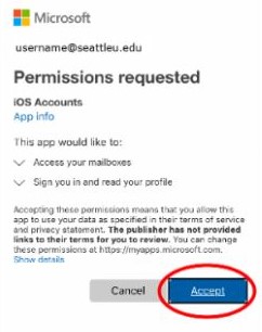 Microsoft Permission Accepted screen.