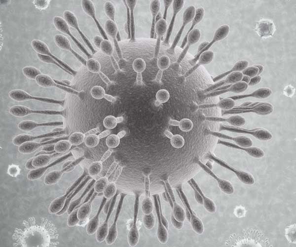 microscopic image of the Coronavirus