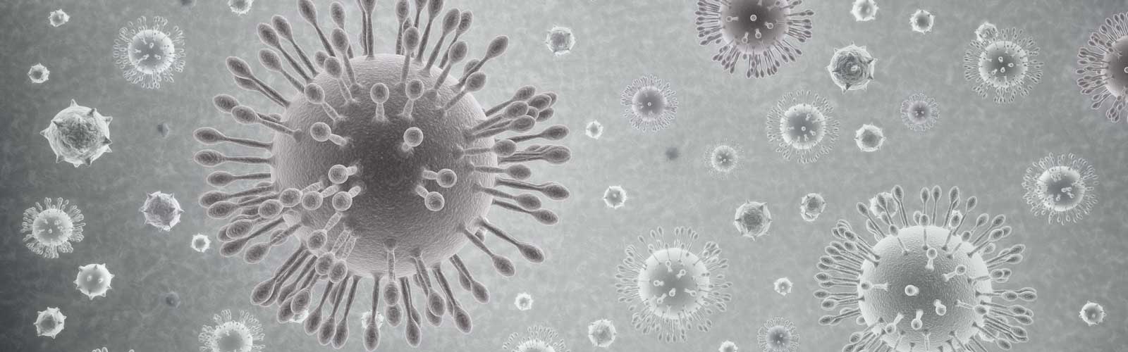 microscopic image of the Coronavirus
