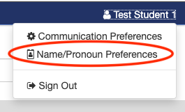 screenshot of name/pronoun preference
